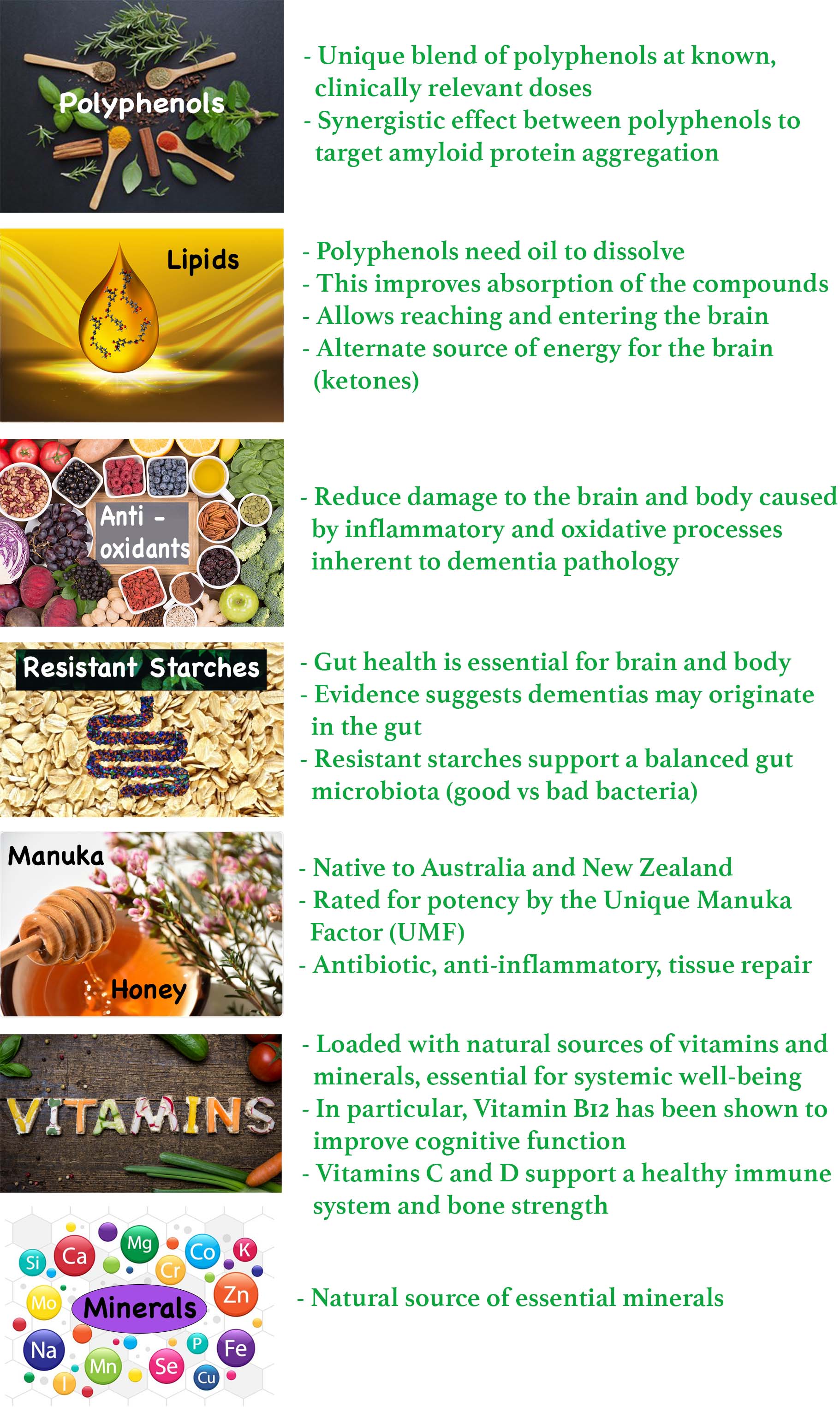 Ingredients in Synergy's Functional Food