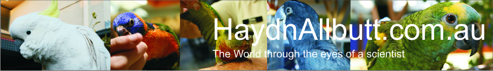 HaydnAllbutt.com.au header image 3